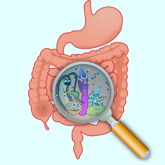 Image shows a cartoon depiction of the microbiota in your gut and immune system.